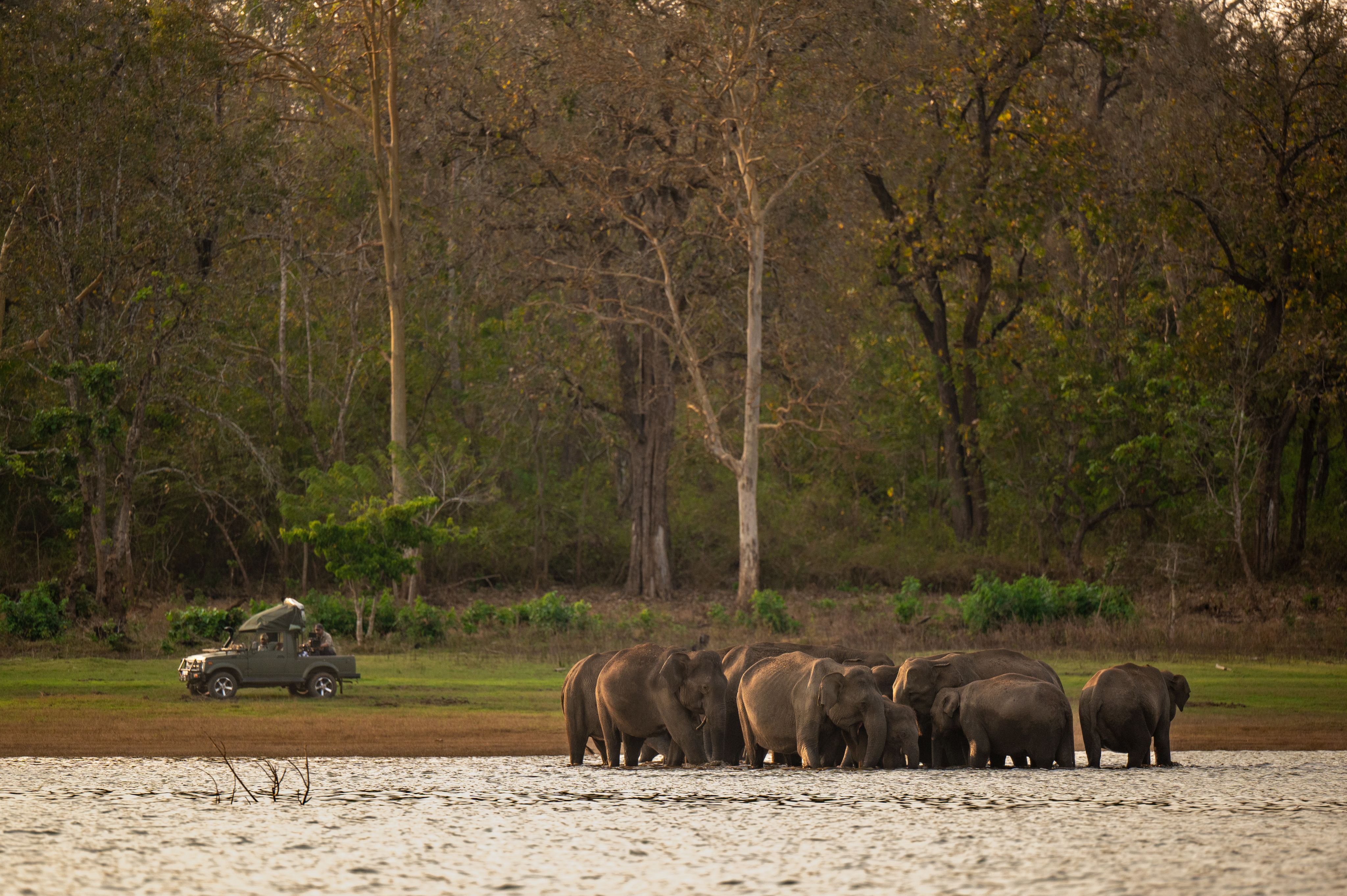 Kalyan Varma in the field