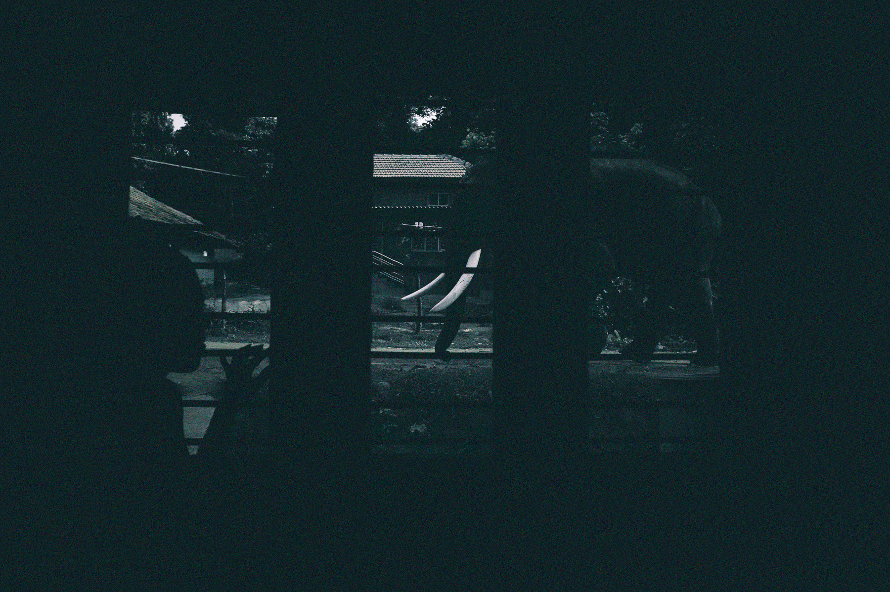 Inside an Elephant Capture