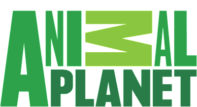 Animal Planet