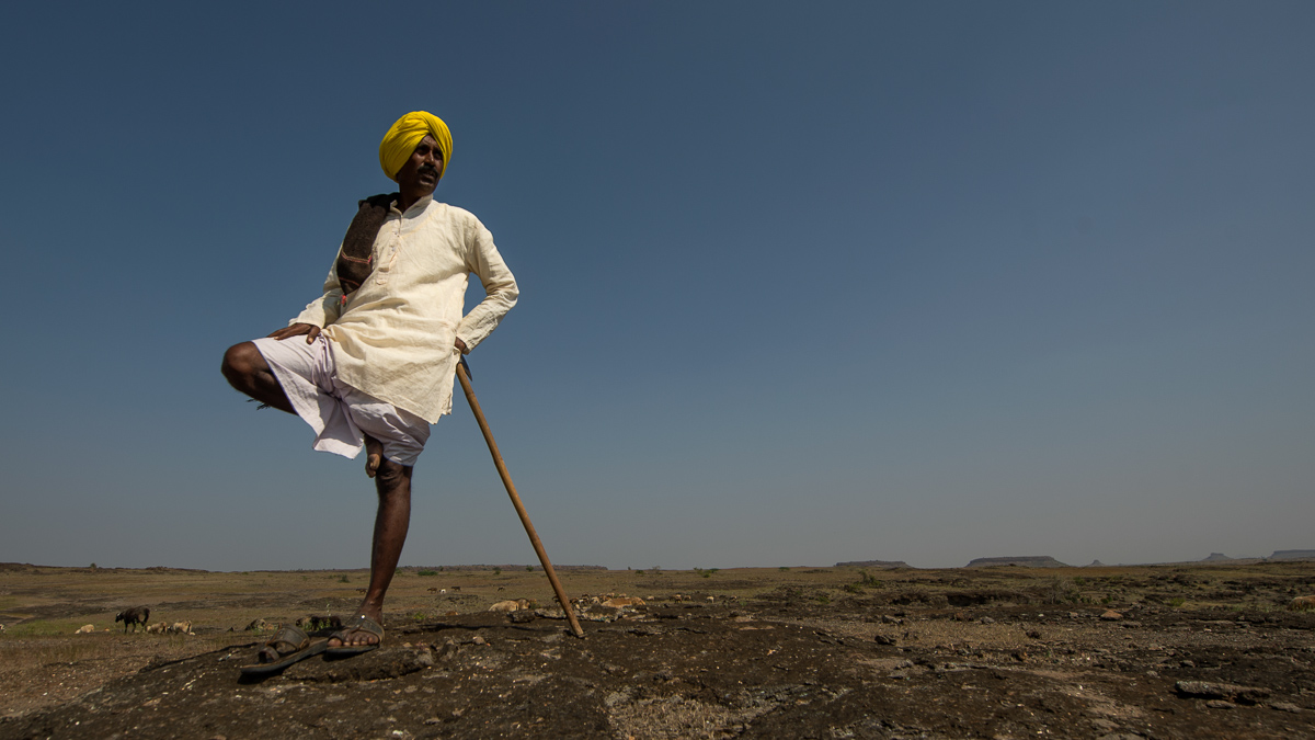 Shepherds and the Wolf