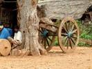 cart