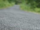clean forest road