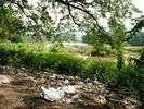 dirty sangam