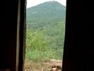 door with a view