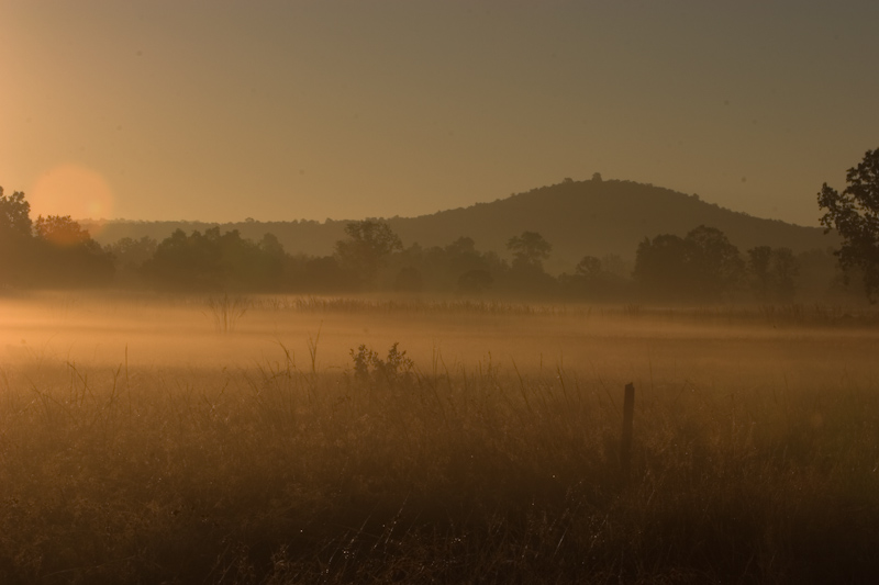 Kanha Meadows
