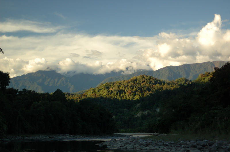 Namdapha Landscape
