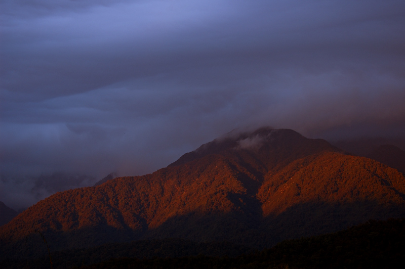 Evening Light
