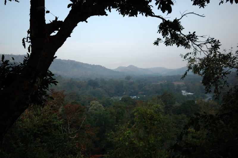 Riverine Habitat
