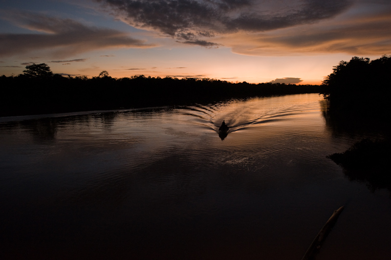 Kinabatangan River
