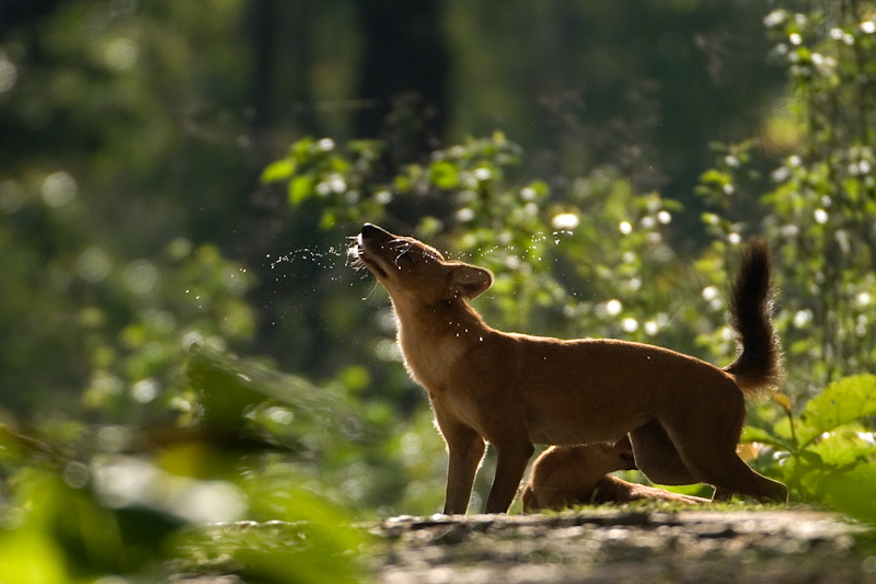 Savouring water
