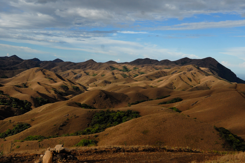 Mukurti Landscape
