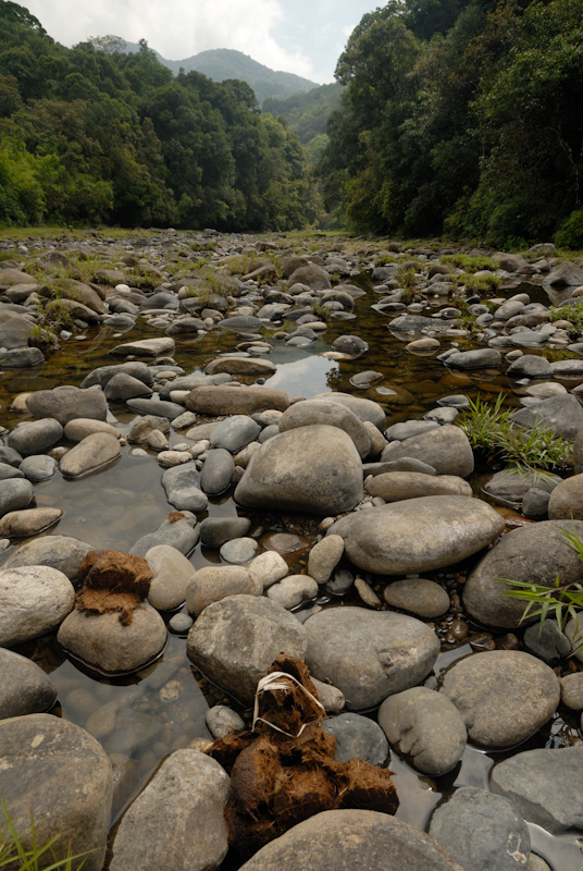 Kunthipuzha river
