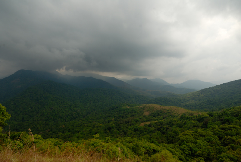 Silent Valley
