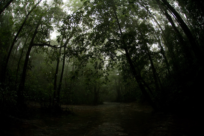 Riverine Habitat
