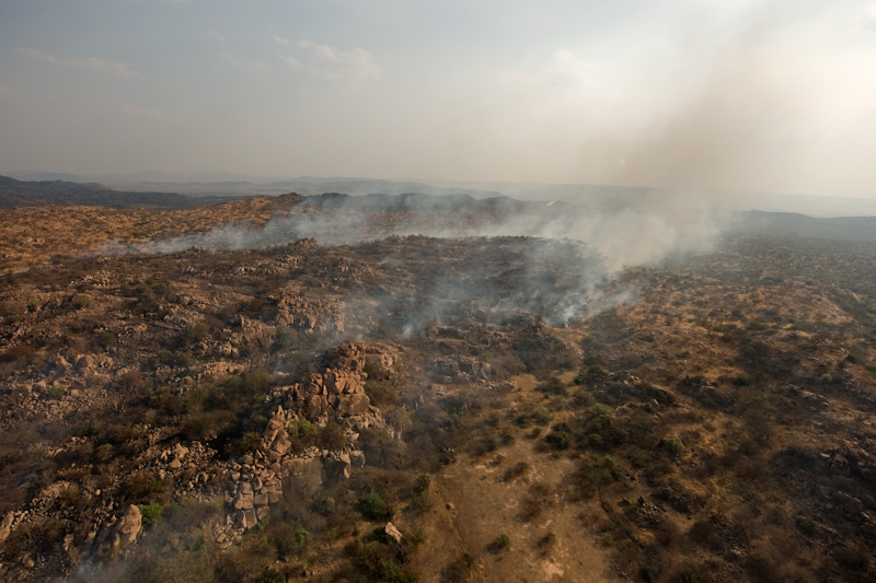 Forest fire at Daroji
