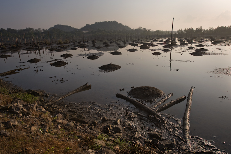 Tsunami damage
