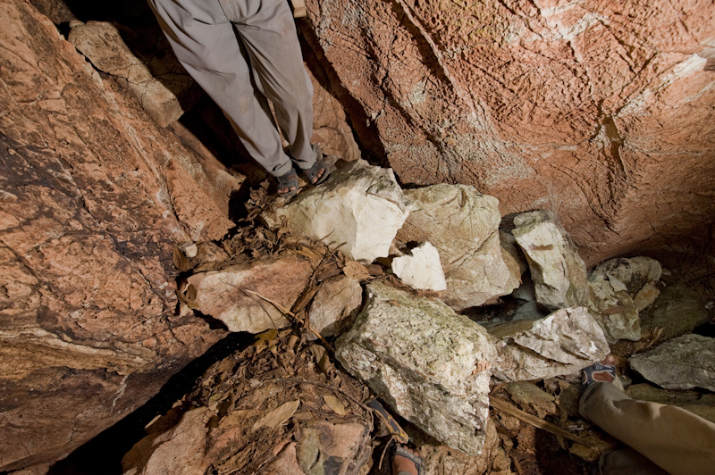 Limestone rock in Andamans
