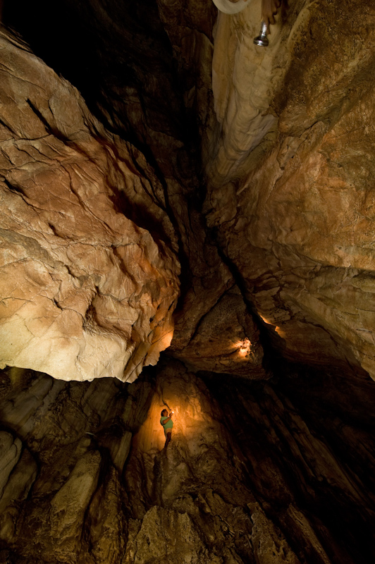 Edible-nest swiftlet cave
