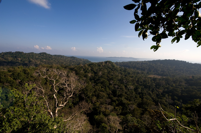 View from Ramnagar
