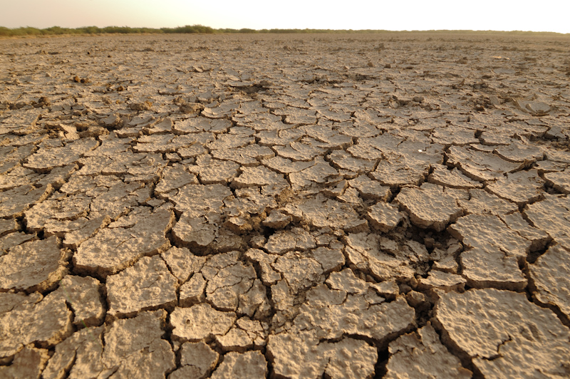 Saline Desert
