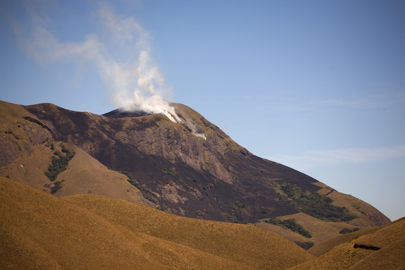 Fire in Grasslands
