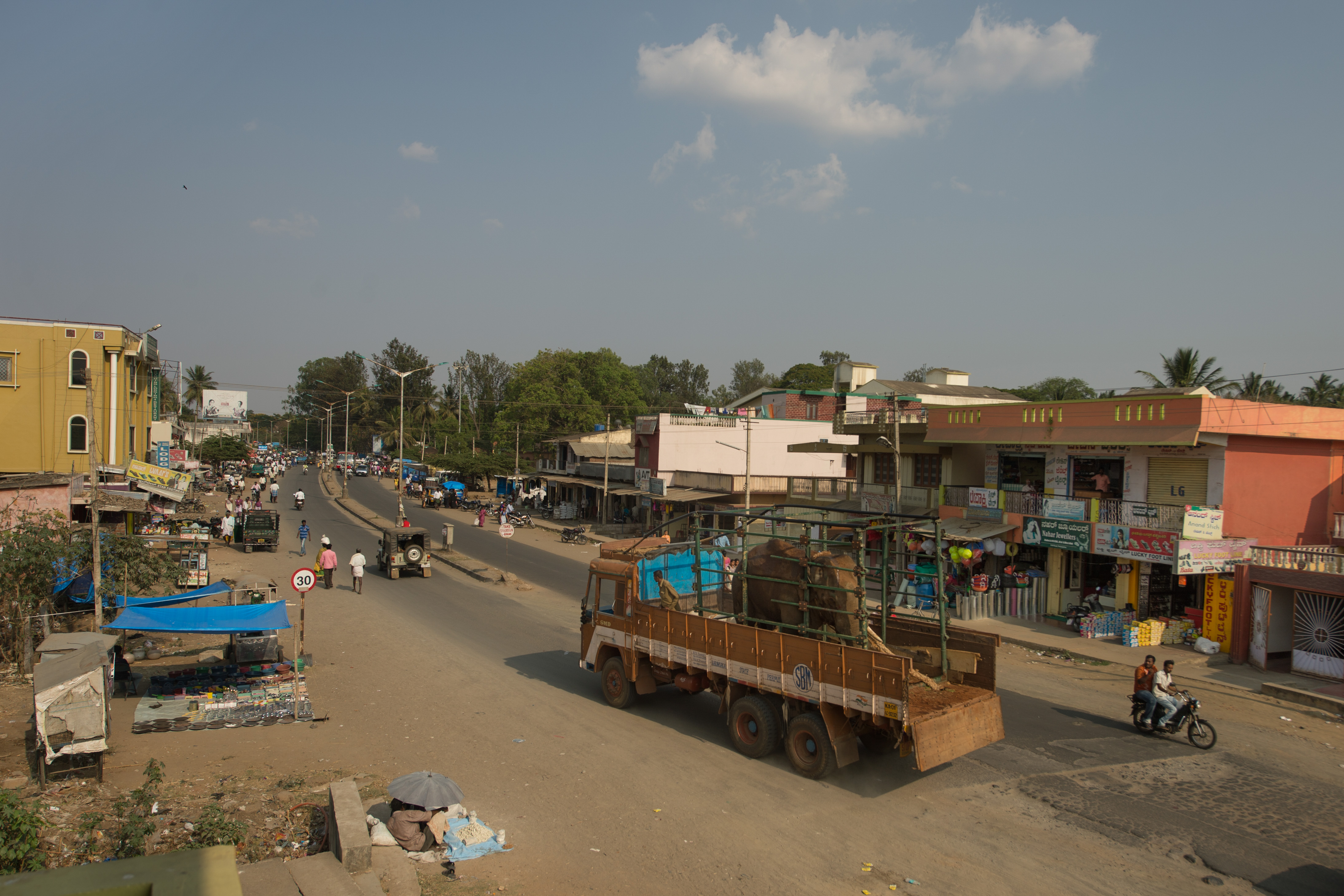 A truck carries the captured tusker through Periyapatna town